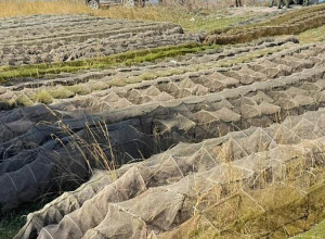 Սևանա լճում հայտնաբերվել է ապօրինի 423 խեցգետնաորսիչ և 43 ձկնորսական ցանց