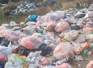 «Սևան» ազգային պարկի հողերին հասցվել է շուրջ 33.5 միլիոն դրամի վնաս