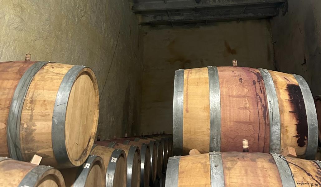 574059000_1241682004662849_3703055424368779269_n