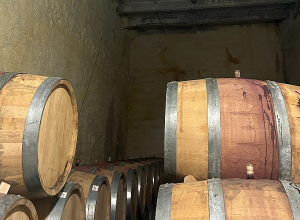 Գինու արտադրամասի արտադրական գործունեությունը կասեցվել է