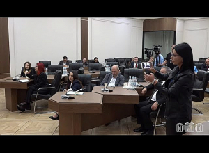 Գործում է պետական ռեկետ․ ներխուժում են տնտեսվարողի մոտ, առաջարկում վճարել, հակառակ դեպքում՝ սպառնում․ Ագնեսա Խամոյան