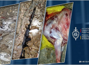 Ապօրինի որսացել էին բեզորյան այծ