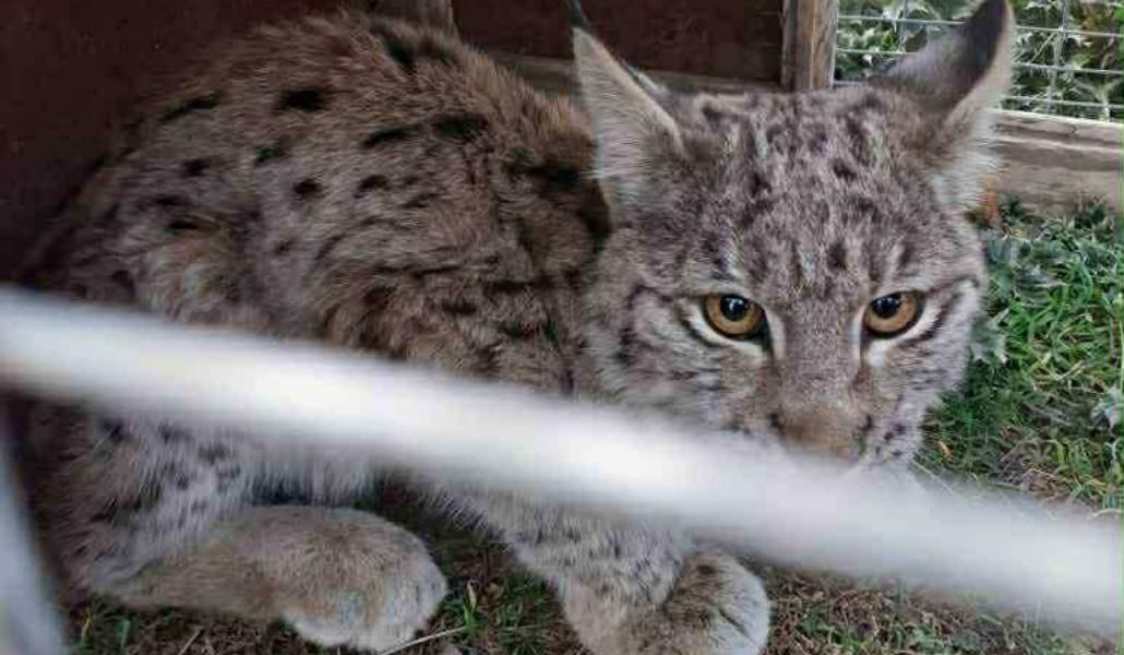 578361157_1307313951425623_9149554707546930782_n