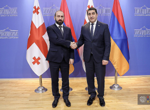 Արարատ Միրզոյանը հանդիպում է ունեցել Վրաստանի խորհրդարանի նախագահ Շալվա Պապաուշվիլիի հետ