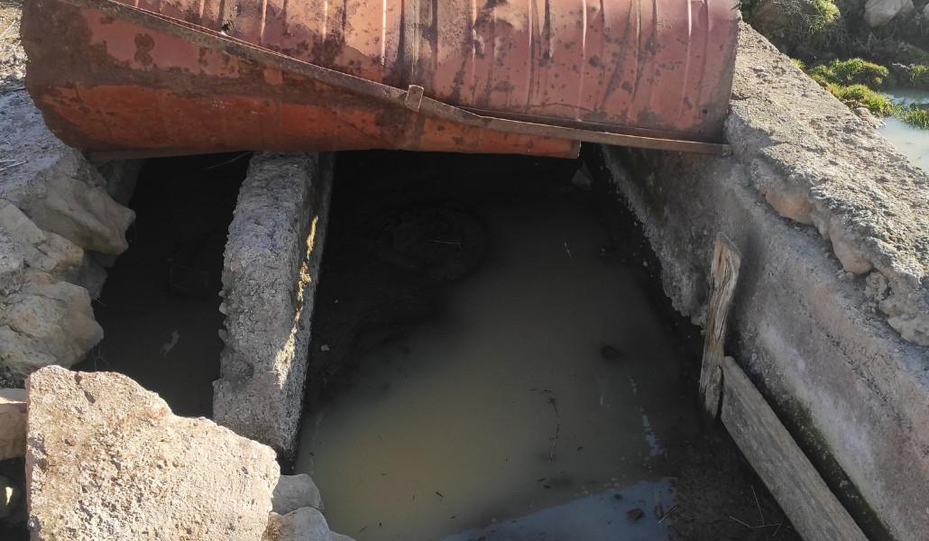 584412065_1313450150812003_7169487806779441130_n