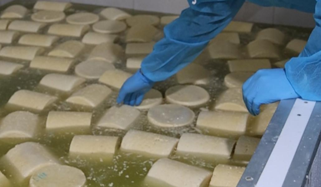 586237717_1260327949464921_875381646584680880_n