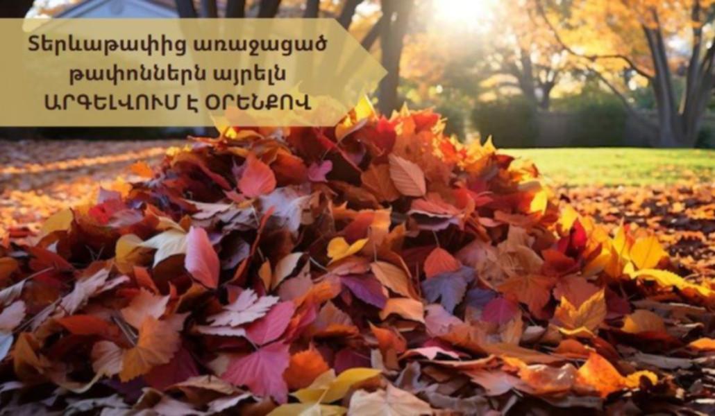 589730027_1319381030218915_847282259469357965_n