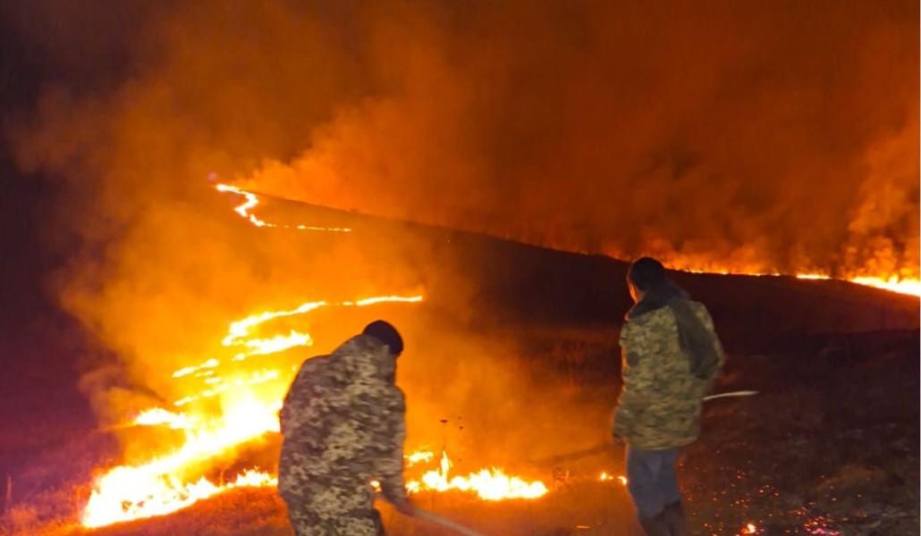 561614992_1264449245710298_4416494038320679588_n