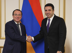 Ալեն Սիմոնյանը հանդիպել է ԵԱՀԿ ԽՎ փոխնախագահի հետ