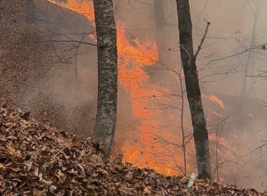 Հրդեհաշիջման աշխատանքները շարունակվում են (լուսանկարներ)