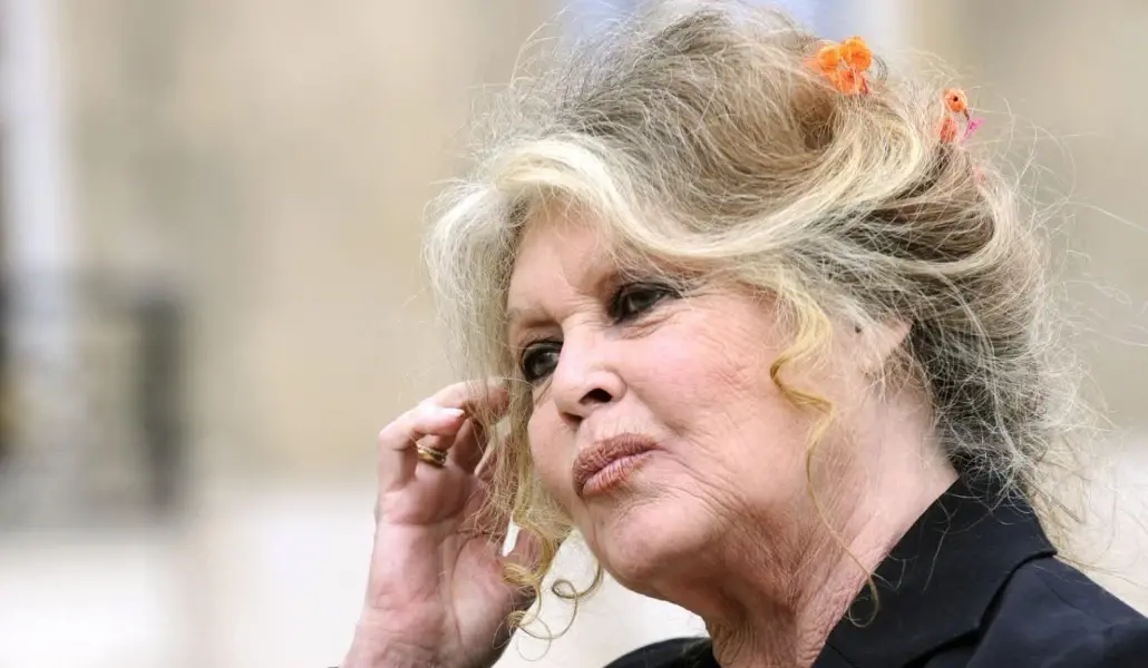 XAmdQCl742ZRvOEih72V00rgRCsbfNJbUXYdv1HL