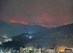 Դիլիջանի ոլորանների և «Լեռնային Հայաստան» առողջարանի մոտակա անտառային հատվածներում, շարունակվում են ինտենսիվ հրդեհաշիջման աշխատանքները