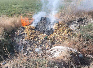 ԱԹՍ վերահսկողությամբ հայտնաբերվել են ապօրինի այրման նոր դեպքեր