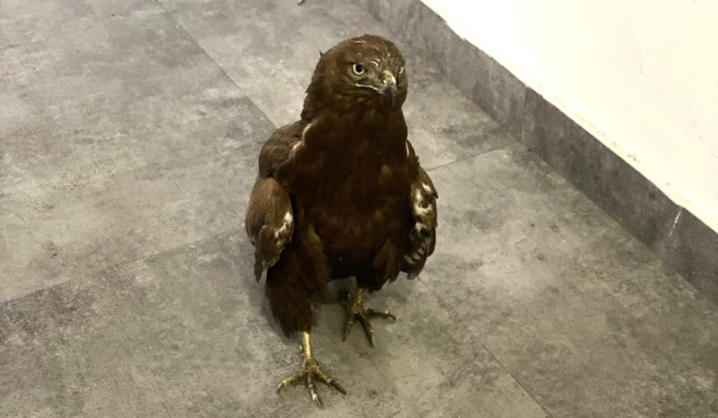 592678493_1325254216298263_2586704017546980374_n