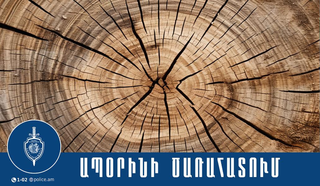 593402274_1235445205275496_2791464749283265843_n