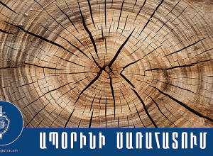 Ապօրինի ծառահատման դեպք է բացահայտվել