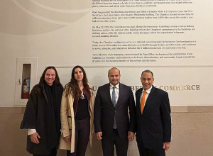 Նարեկ Մկրտչյանը հանդիպում է ունեցել ԱՄՆ Առևտրի պալատի և Միջին Արևելքի, Կենտրոնական Ասիայի և Թուրքիայի հարցերով փոխնախագահների հետ