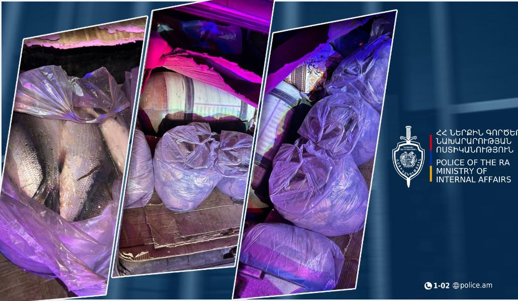 595752783_1238374024982614_8572641195805847796_n