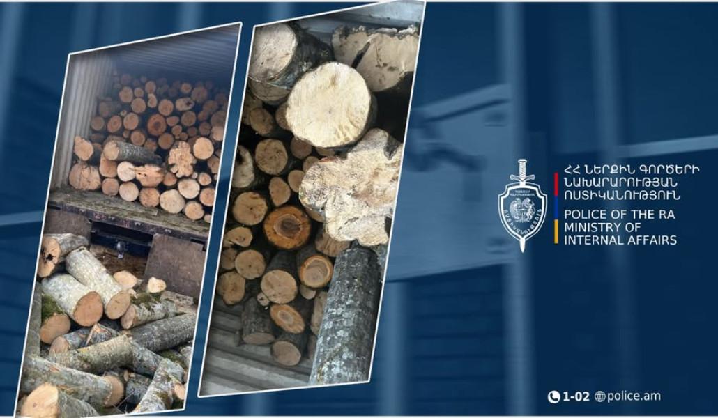 595171314_1239819848171365_3568902377061401681_n