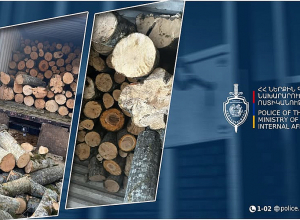 «ԿամԱԶ»-ի վարորդը պարեկներին փայտանյութի վերաբերյալ ժամկետանց փաստաթուղթ է ներկայացրել