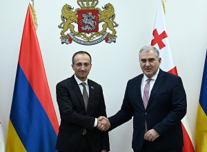 Արսեն Թորոսյանը Թբիլիսիում հանդիպել է Վրաստանի սոցիալական հարցերի նախարար Միխեիլ Սարջվելաձեի հետ