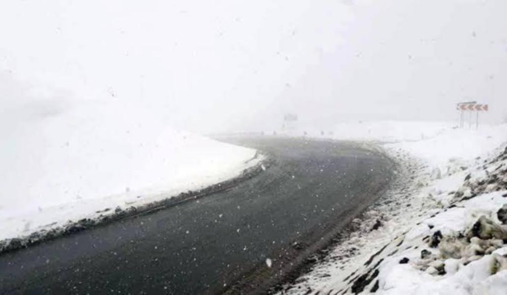 600288129_1261735882655295_3261588670549914458_n