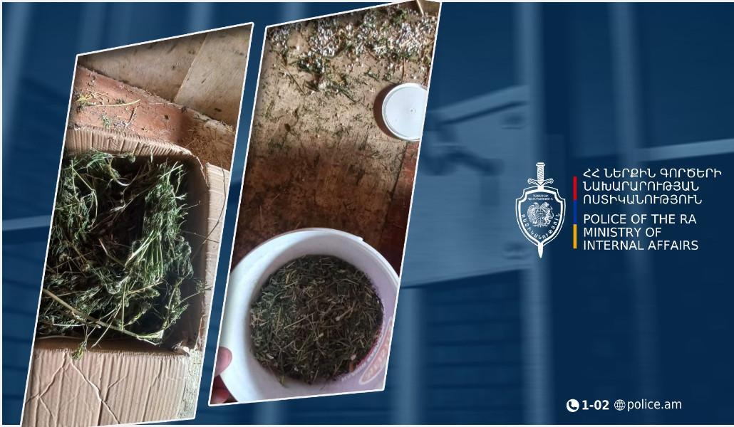 599126446_1246394704180546_6508829531283578706_n