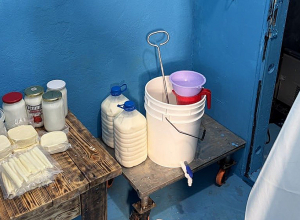 Կաթնամթերքի արտադրամասում հայտնաբերվել են սանիտարահիգիենիկ նորմերի խախտումներ