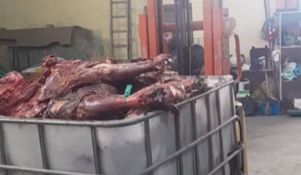 608233250_1292441906253525_6409287818343705401_n