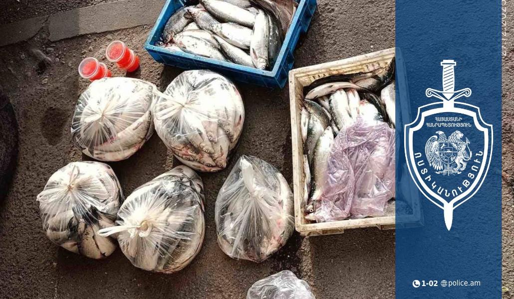 607874430_1255930433226973_5659395972326188457_n