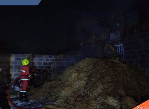 Հրդեհ Մրգաստան գյուղում