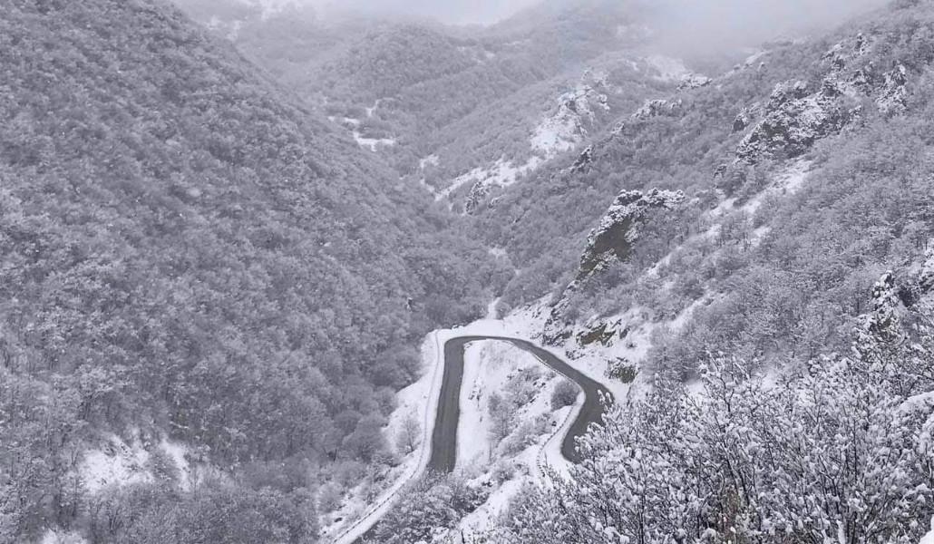 photo_2026-01-08_09-05-31