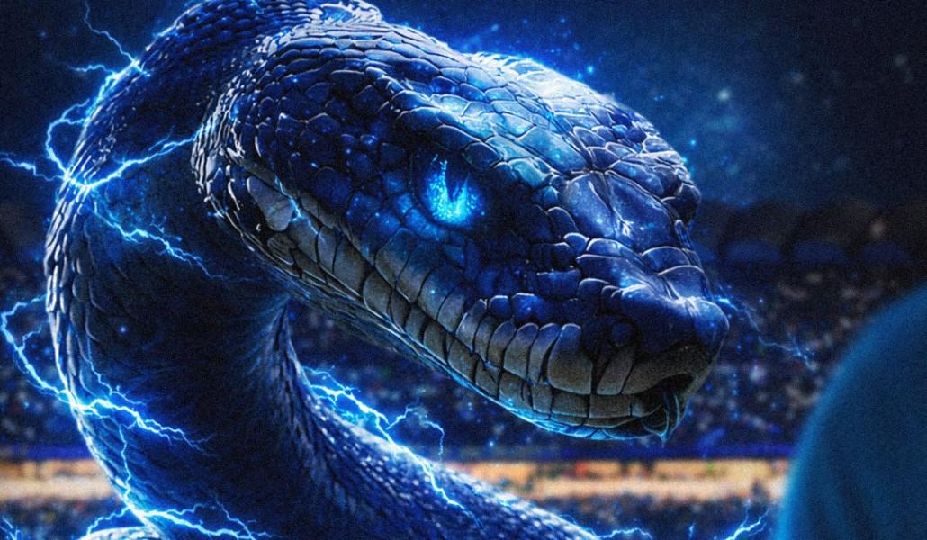 577041951_1407338600752323_8894199002307739374_n