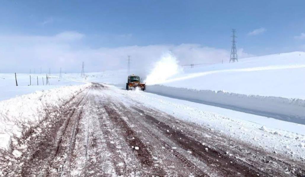 photo_2026-01-12_17-14-31