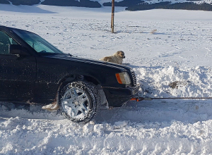 Արգելափակումից դուրս է բերվել 113 տրանսպորտային միջոց