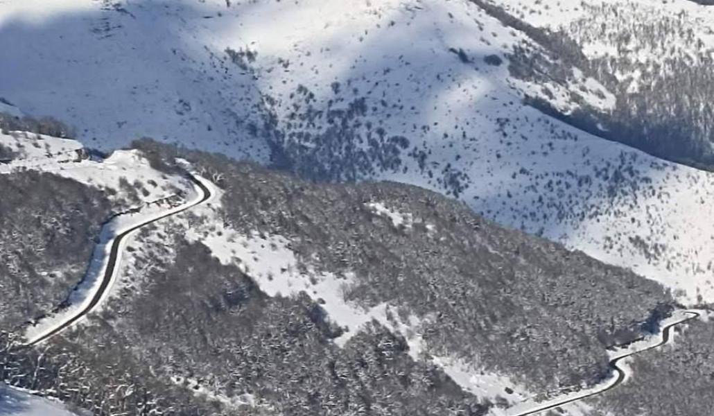 photo_2026-01-22_09-09-50