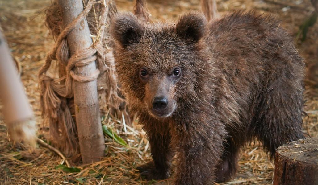 622685017_1370139571809727_5886719547623185186_n