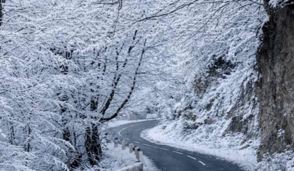 photo_2026-01-28_10-33-35