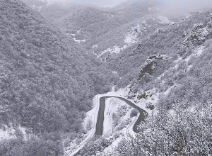 Արարատի, Աբովյանի, Վայքի տարածաշրջաններում մառախուղ է