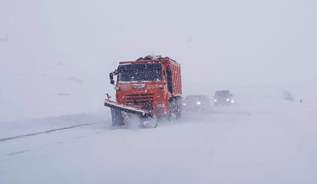 photo_2026-01-31_20-06-00