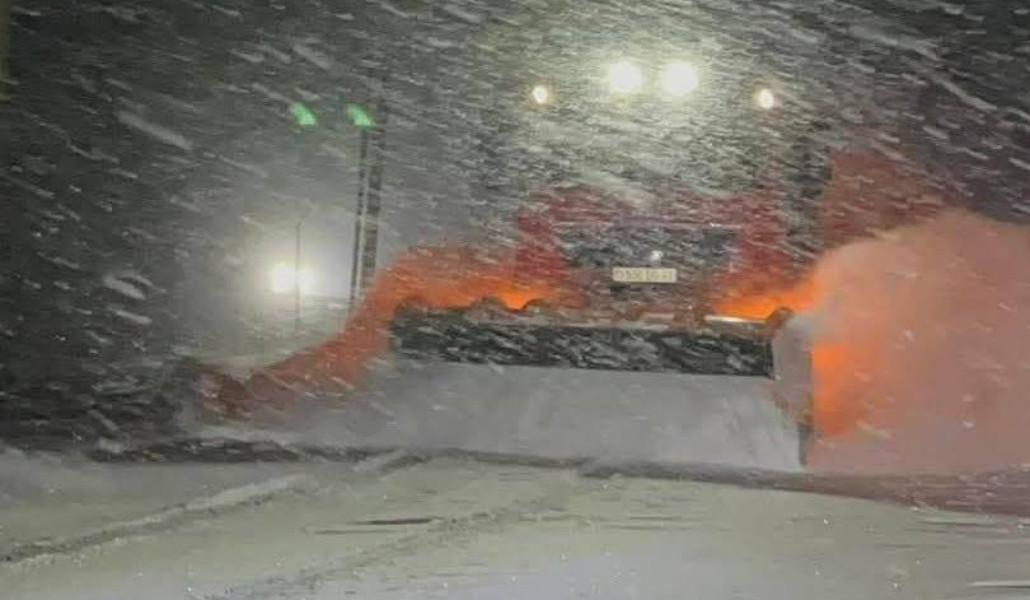 photo_2026-02-01_18-30-59