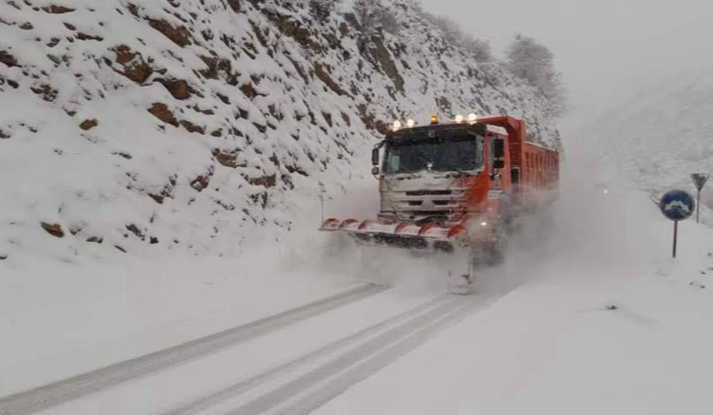 photo_2026-02-01_19-52-24