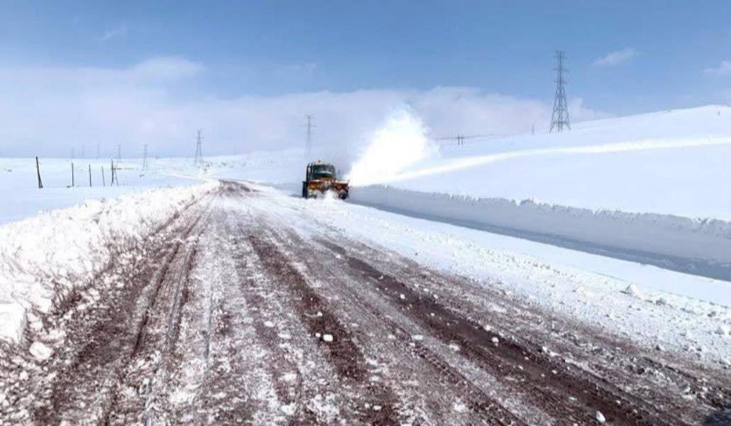 photo_2026-02-08_10-39-52