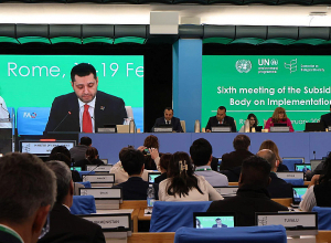 Հայաստանը Հռոմում ներկայացրել է 2026 թվականին Երևանում կայանալիք COP-17-ի տեսլականը