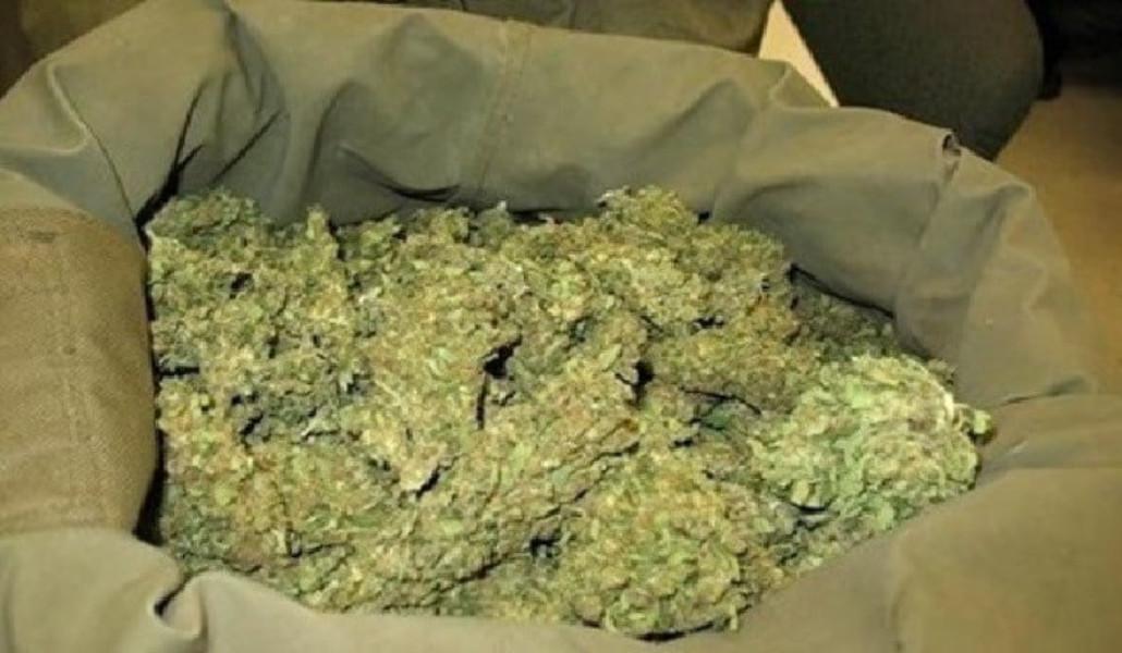 photo_2026-02-19_14-03-59