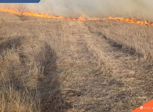 Կանխվել է հրդեհի տարածումը