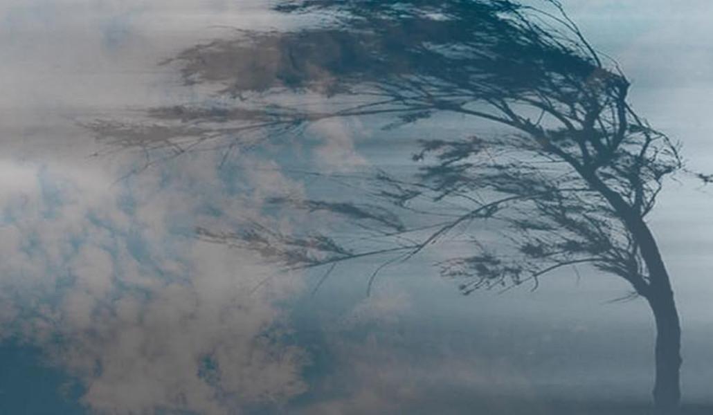 641283170_122167094912938431_4026718389923872582_n