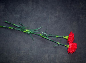 Ադրբեջանում ԵՄ պատվիրակները հիշել են Խոջալուի դեպքերը