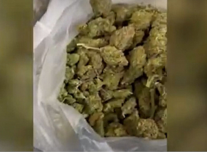 Ապօրինի թմրաշրջանառությունից հանվել է մոտ 18 կիլոգրամ մարիխուանա․ ՔՈԳՎ բացահայտումը