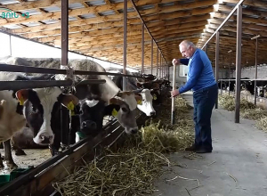 «Թողել ենք Ռուսաստանը ու մեծ ընտանիքով վերադարձել հայրական գյուղ,տուն».Ֆերմեր Սարգիսը